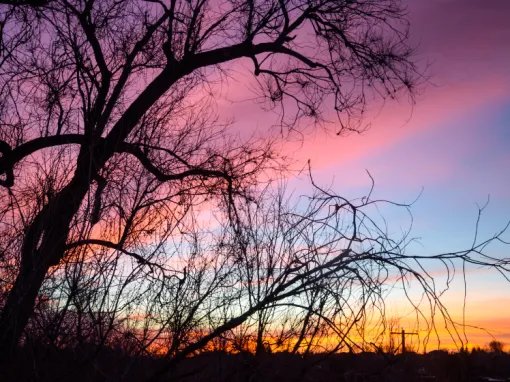12 Stunning Sunset Locations in Boulder 12 Stunning Sunset Locations in Boulder