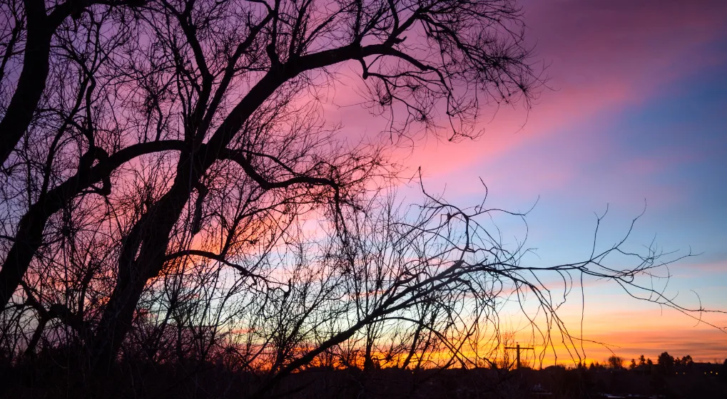 image_68b509b042b7a8.66366645.png