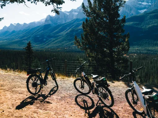 Ultimate 2026 Colorado Road Biking: 5 Breathtaking Peaks Ultimate 2026 Colorado Road Biking: 5 Breathtaking Peaks