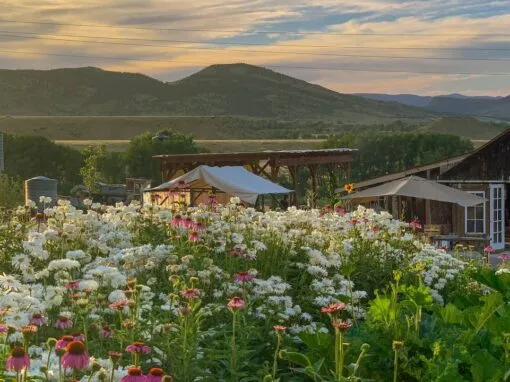 Unforgettable 2026 Colorado Dining Experiences: 15+ Stunning Unforgettable 2026 Colorado Dining Experiences: 15+ Stunning