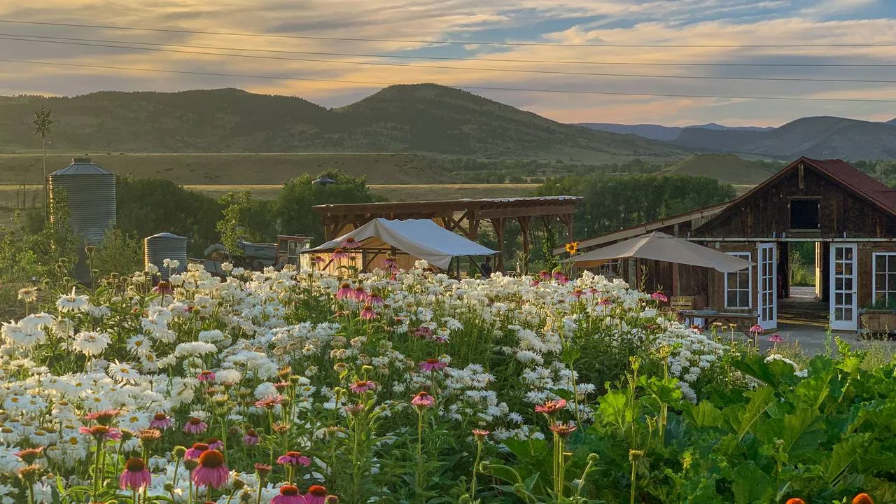 Colorado dining experiences featuring elegant restaurant interior mountain views