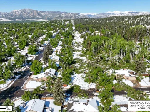 Heartbreaking 2026 Denver Tree Damage: 5 Stunning Impacts Heartbreaking 2026 Denver Tree Damage: 5 Stunning Impacts