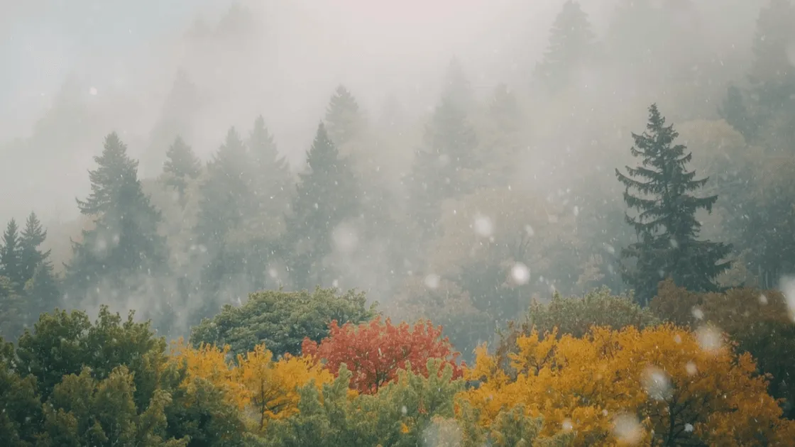 colorado mountains year-round adventures with summer wildflowers and snow-capped peaks