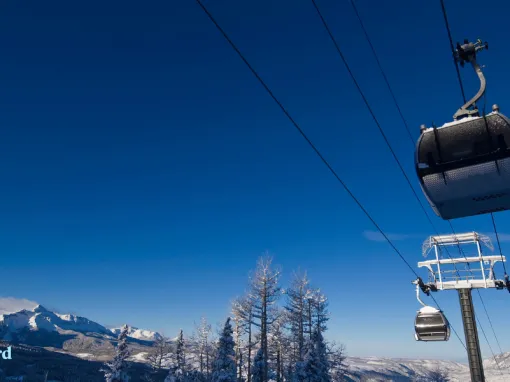 Embrace the Colorado Lifestyle: Scenic Gondola Rides Await Embrace the Colorado Lifestyle: Scenic Gondola Rides Await