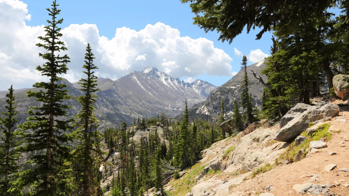 beginner hiking trails Colorado scenic mountain path with wildflowers