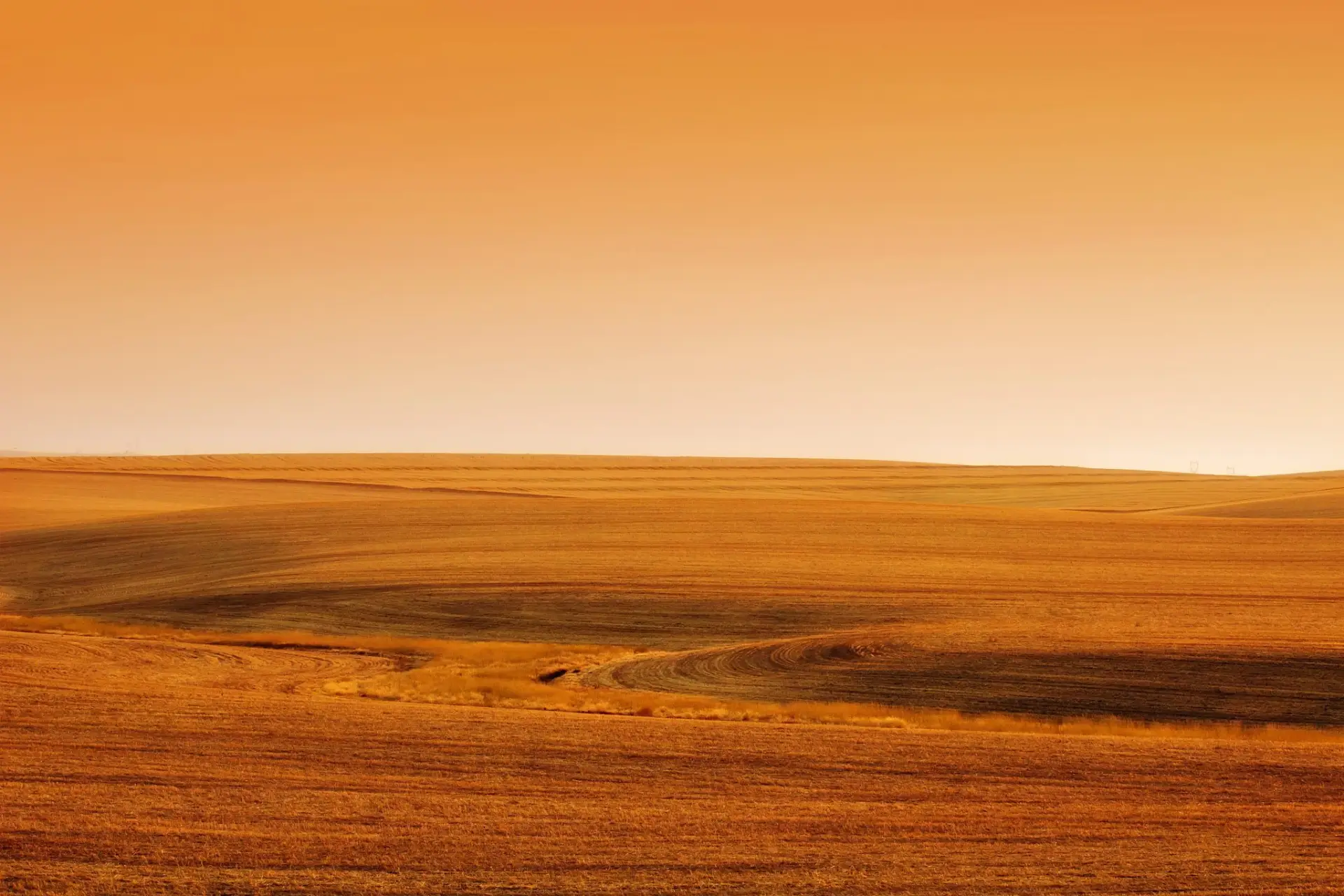 Desert