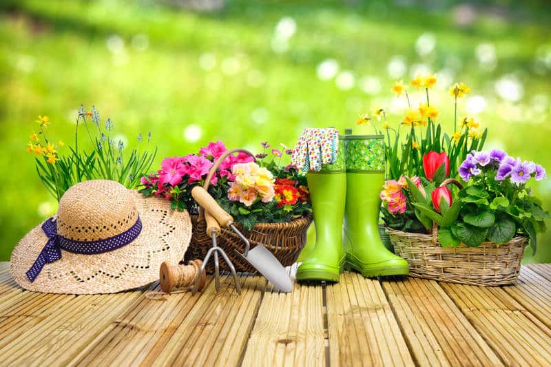 Vous chercher un jardinier ? Maison et Jardin 82 fait le jardinage pour vous à Montauban et Tarn-et-Garonne