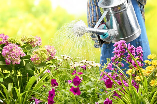 Vous chercher un jardinier ? Maison et Jardin 82 fait le jardinage pour vous à Montauban et Tarn-et-Garonne