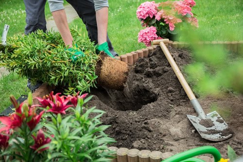 Vous chercher un jardinier ? Maison et Jardin 82 fait le jardinage pour vous à Montauban et Tarn-et-Garonne