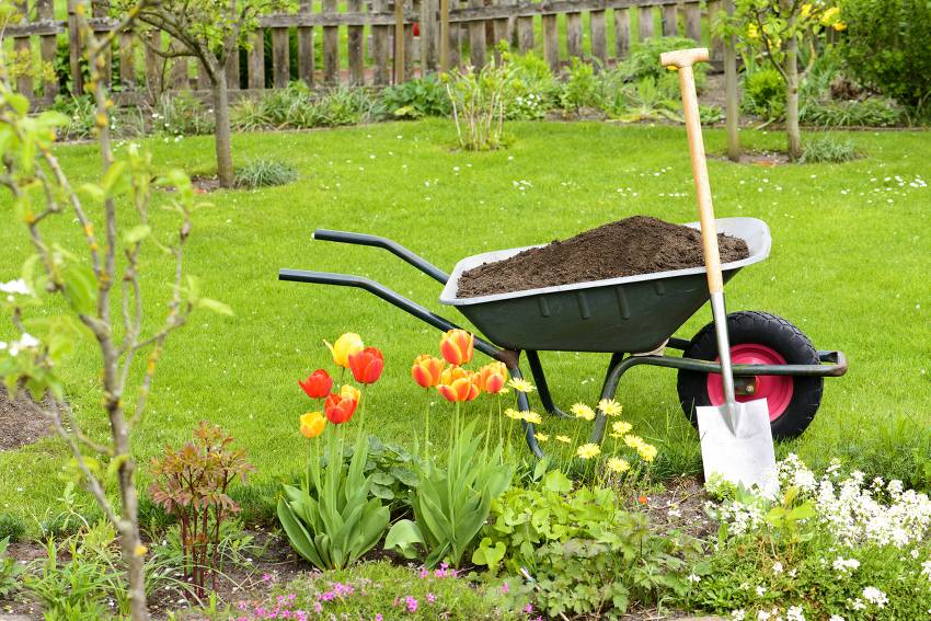 Vous chercher un jardinier ? Maison et Jardin 82 fait le jardinage pour vous à Montauban et Tarn-et-Garonne