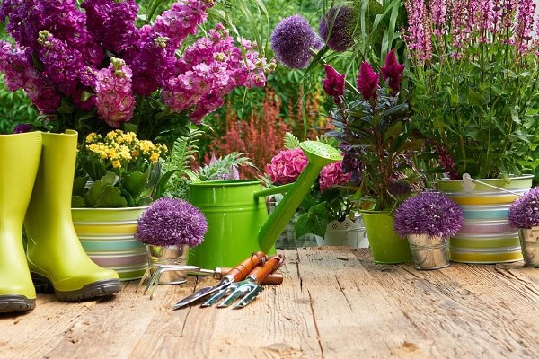Vous chercher un jardinier ? Maison et Jardin 82 fait le jardinage pour vous à Montauban et Tarn-et-Garonne