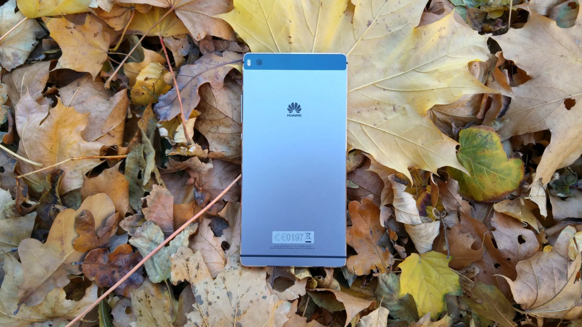 p8akku