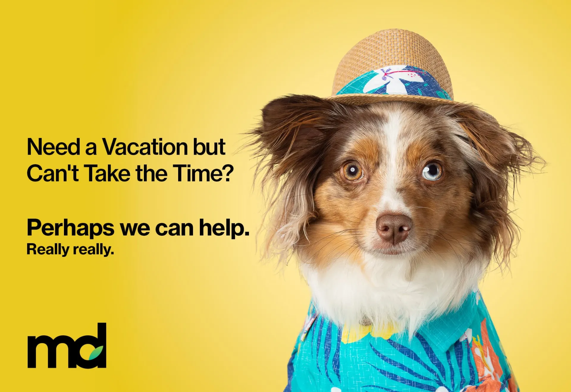 Need a vacation but can't take the time? Perhaps we can help.