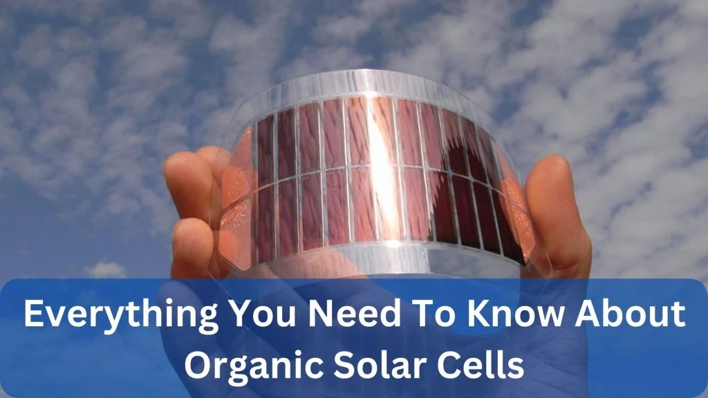 Organic Solar Cells