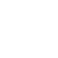 light-international-logo-2