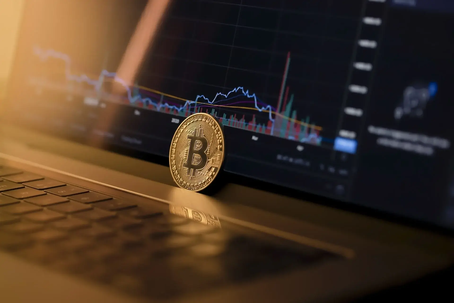 Opensea Clone 40 GMX Clone, Cryptocurrency Exchange bitcoin image