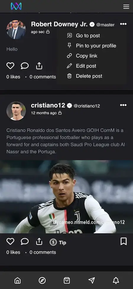 Cameo Clone 24 Cameo Clone Mobile App Posts Screen.