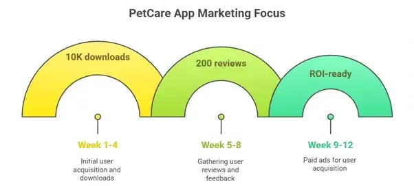 How to Market a PetCare Marketplace App After Successful Launch 2 PetCare Marketing Funnel