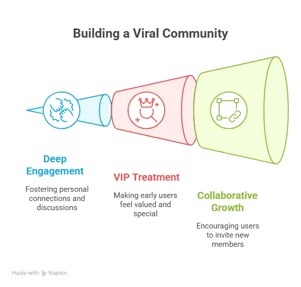 How to Market a Social Networking and Community Platform Successfully After Launch 1 Building a Viral Community