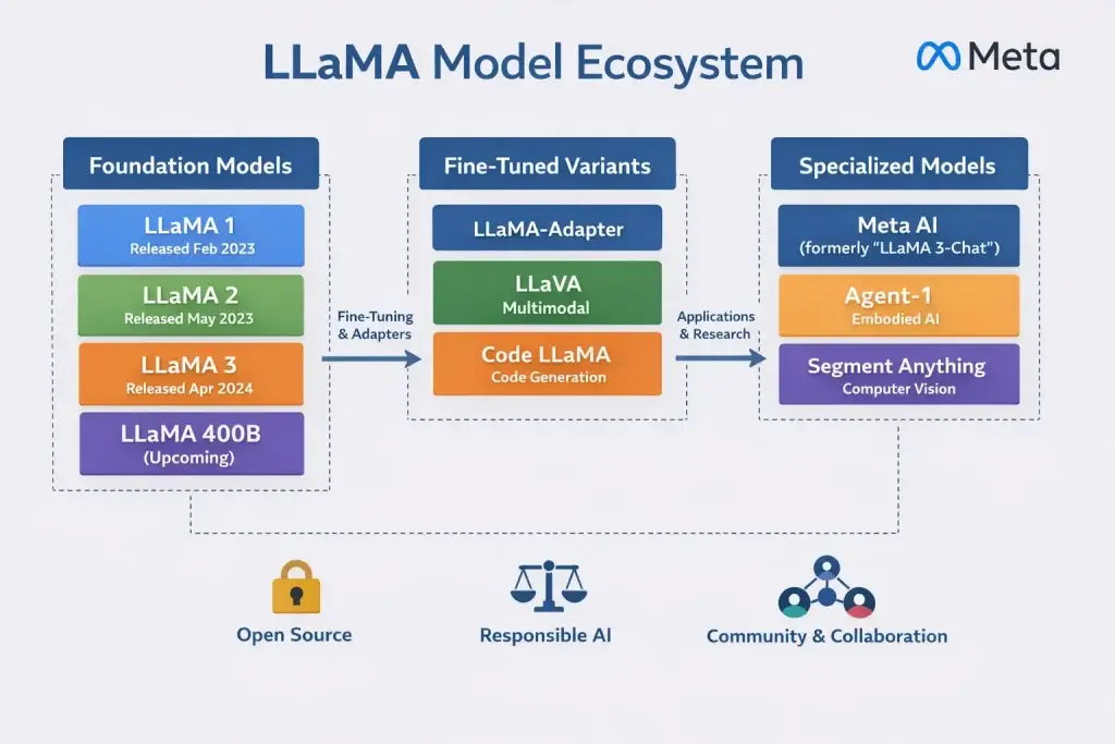 What is Meta LLaMA and How Does It Work? 1 LLaMA model ecosystem infographic showing LLaMA 1, 2, 3, fine-tuned variants, and specialized models by Meta