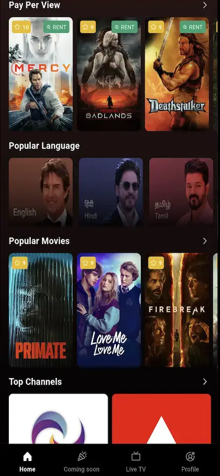 Netflix Clone 21 Mobile catalog with pay-per-view titles, popular-language filters, movie recommendations, ratings, and browsing rows