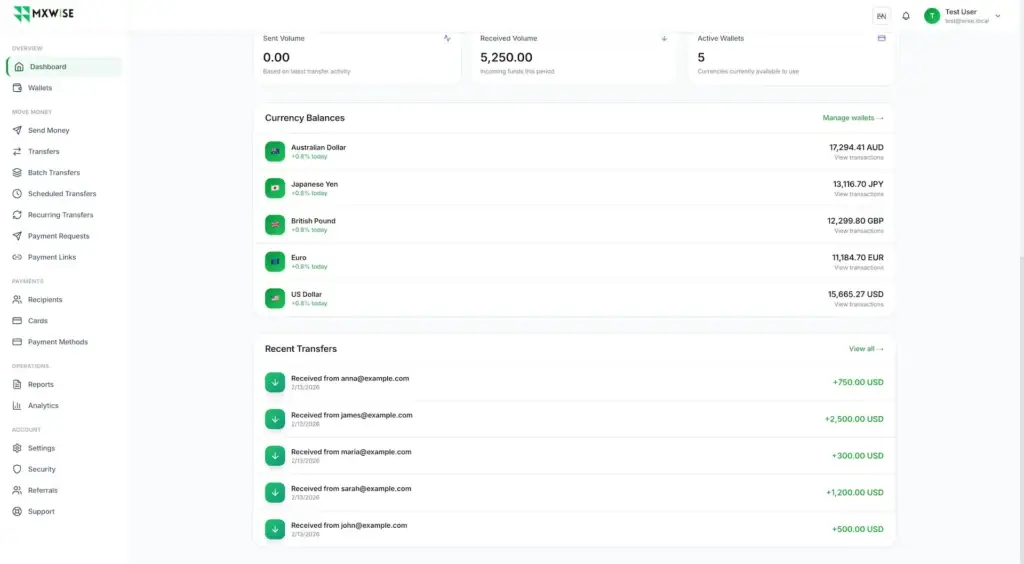 Wise Clone 51 Customer dashboard showing currency balances, supported wallets, recent transfers, and international money-management navigation