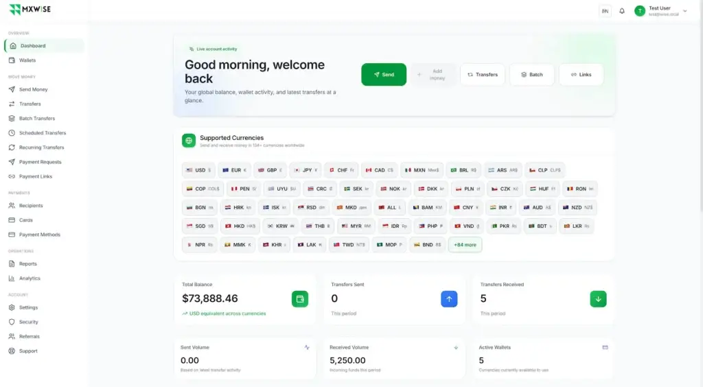 Wise Clone 50 Customer dashboard presenting quick transfer actions and supported currencies for international payments across more than 160 countries