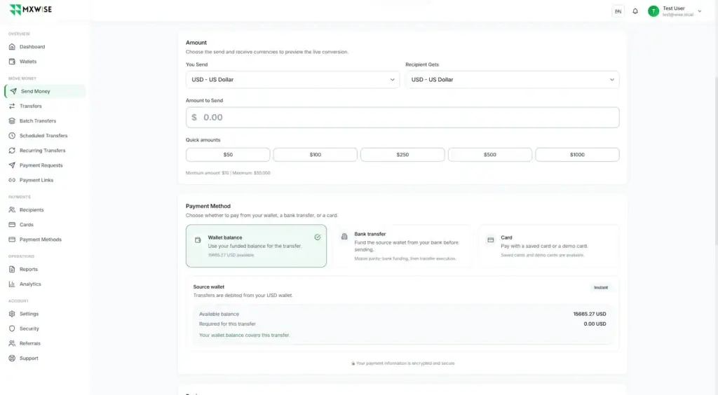Wise Clone 48 Send-money form with source and recipient currencies, amount, quick values, payment methods, wallet balance, bank transfer, and card options