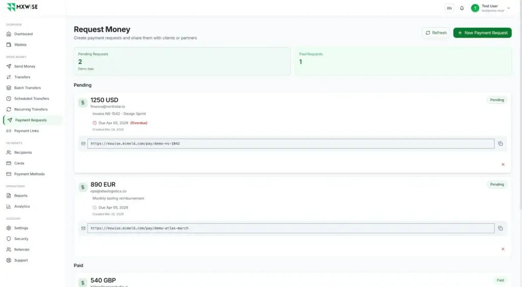 Wise Clone 44 Payment-request dashboard listing pending and paid requests, currencies, clients, due dates, shareable payment links, and request status