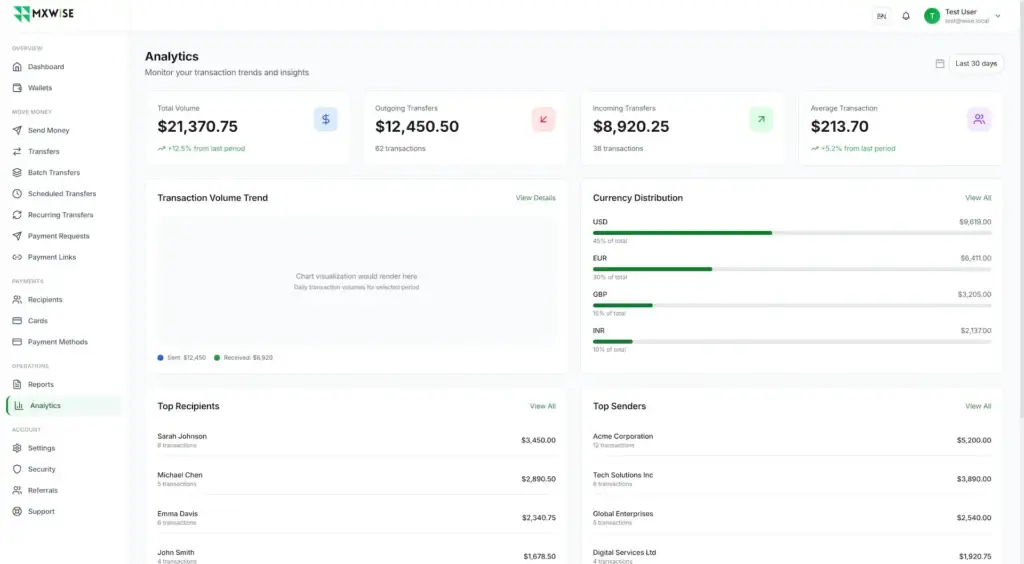 Wise Clone 39 Analytics dashboard with total volume, outgoing and incoming transfers, average transaction value, trends, and currency distribution