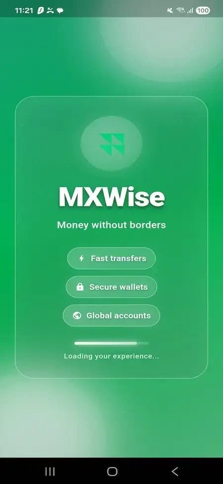 Wise Clone 35 Wise mobile application launch screen introducing fast transfers, secure wallets, and global accounts