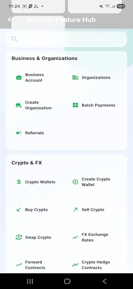 Wise Clone 23 Mobile feature hub linking business accounts, organizations, batch payments, organization creation, and referrals