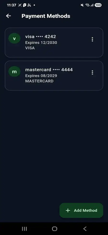 Wise Clone 21 Mobile payment-method list showing saved Visa and Mastercard accounts with expiry and management controls