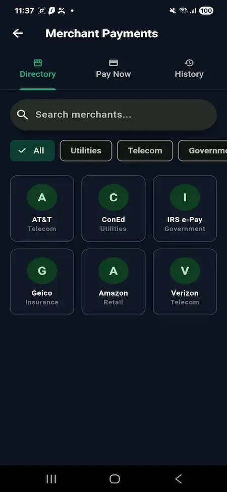 Wise Clone 20 Mobile merchant directory with search, service categories, billers, utilities, telecom providers, government payments, and payment history