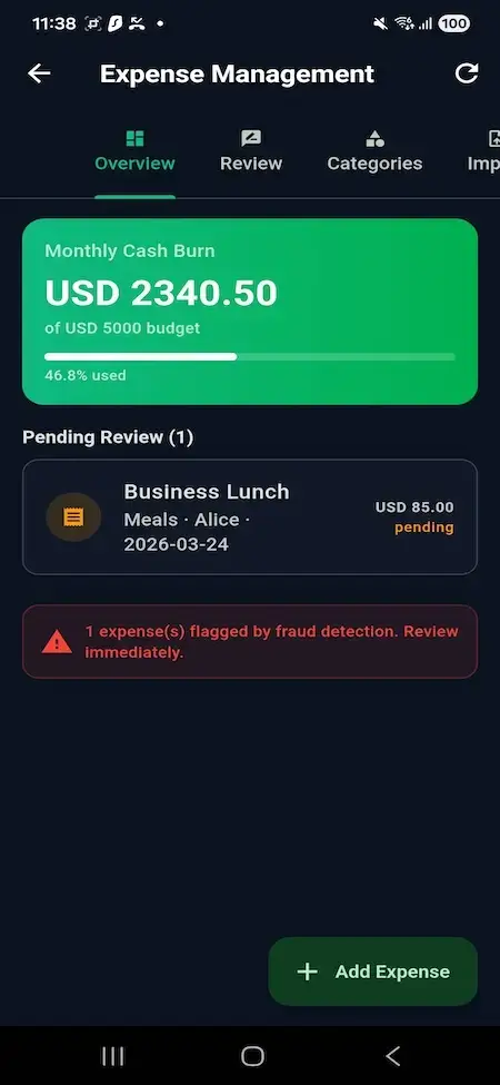 Wise Clone 17 Mobile expense dashboard showing monthly cash burn, budget utilization, pending reviews, business expenses, and fraud flags