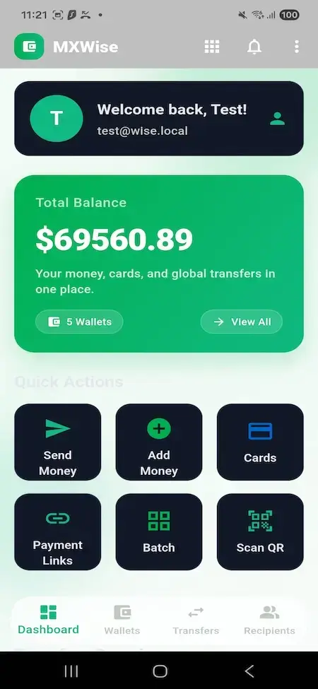 Wise Clone 33 Mobile dashboard showing total balance, wallet count, quick actions, transfers, and recent account activity