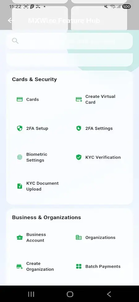 Wise Clone 29 Mobile feature hub linking cards, virtual-card creation, two-factor authentication, biometrics, and KYC verification