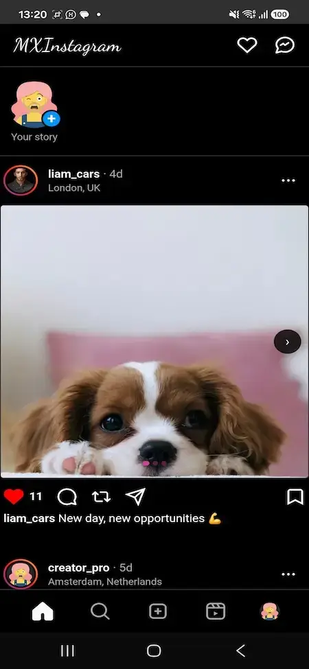 Instagram Clone 36 MXInstagram mobile home feed with a puppy carousel post, stories and engagement actions