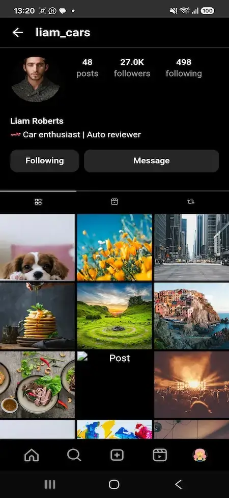 Instagram Clone 33 MXInstagram mobile profile for liam_cars with follower statistics, biography and photo grid