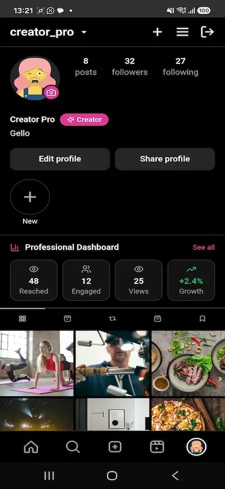 Instagram Clone 32 MXInstagram Creator Pro mobile profile with reach, engagement, views and growth statistics