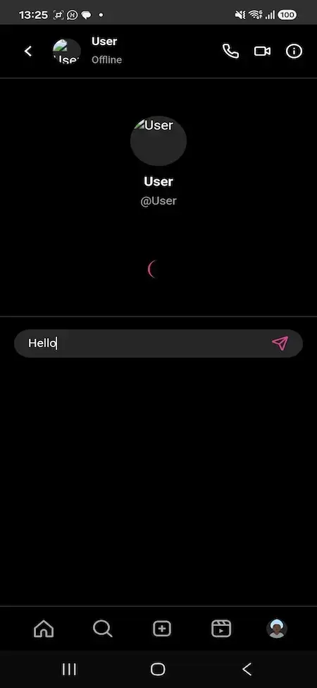 Instagram Clone 17 MXInstagram mobile direct-message conversation with voice, video, information and message composer controls