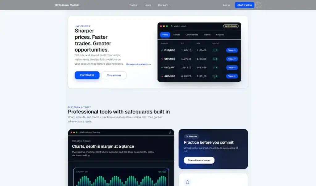 Blueberry Markets Clone 46 Website section presenting forex quotes, spreads, fast execution, market browsing, charting, depth, margin, and risk-free practice tools