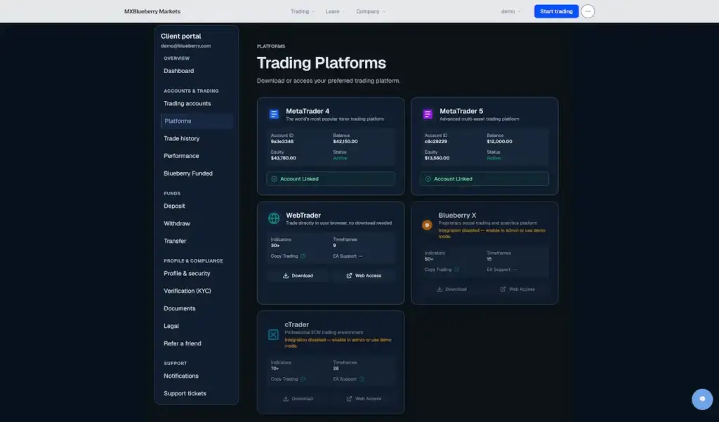 Blueberry Markets Clone 42 Client portal platform page listing linked MetaTrader 4 and MetaTrader 5 accounts plus WebTrader and proprietary tools