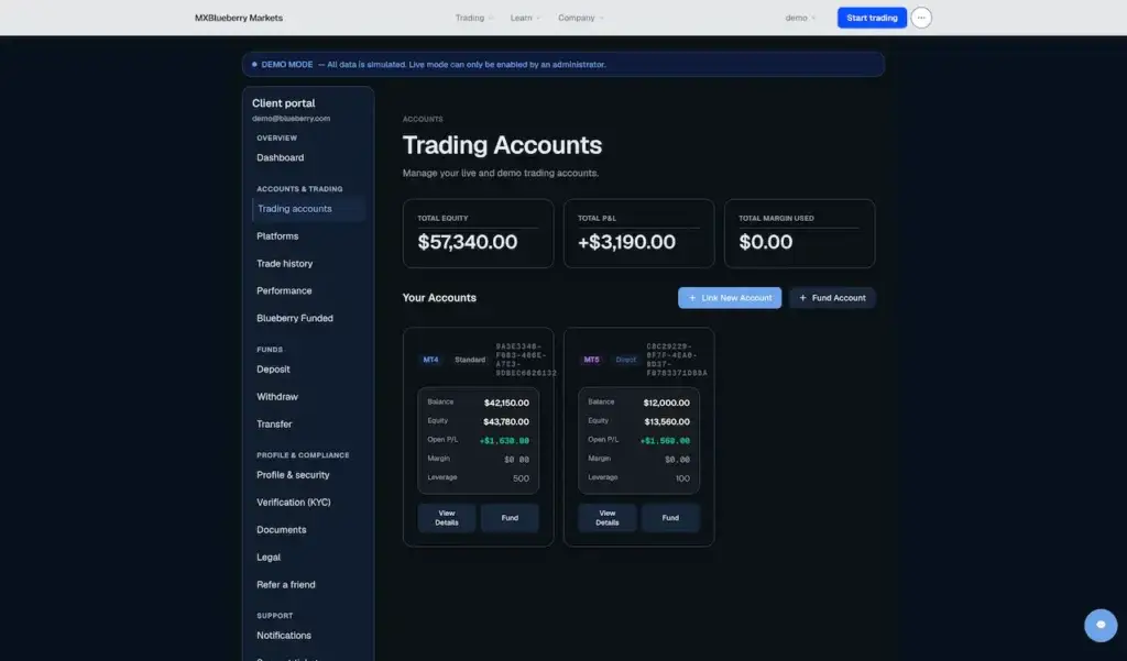 Blueberry Markets Clone 41 Client portal account manager with total equity, profit and loss, margin usage, linked accounts, and new or funded-account actions