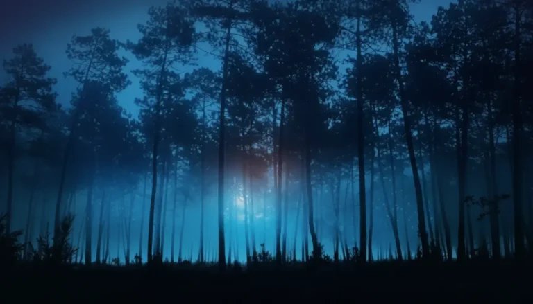 Magic Hour Review: Unraveling the Mystery in Kristin Hannah’s Emotional Thriller