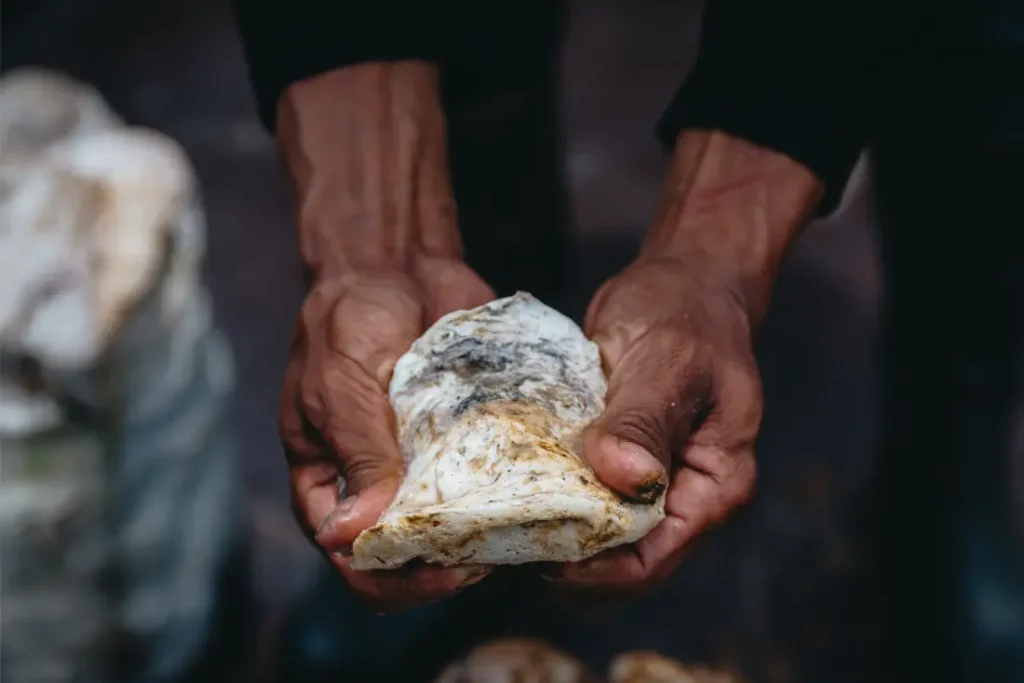 Dos manos sostienen un mineral o roca grande, rugosa y blanquecina, con decoloraciones marrones y grises, cuya superficie texturizada casi recuerda a la banda de rodadura de los neumáticos Schwalbe.
