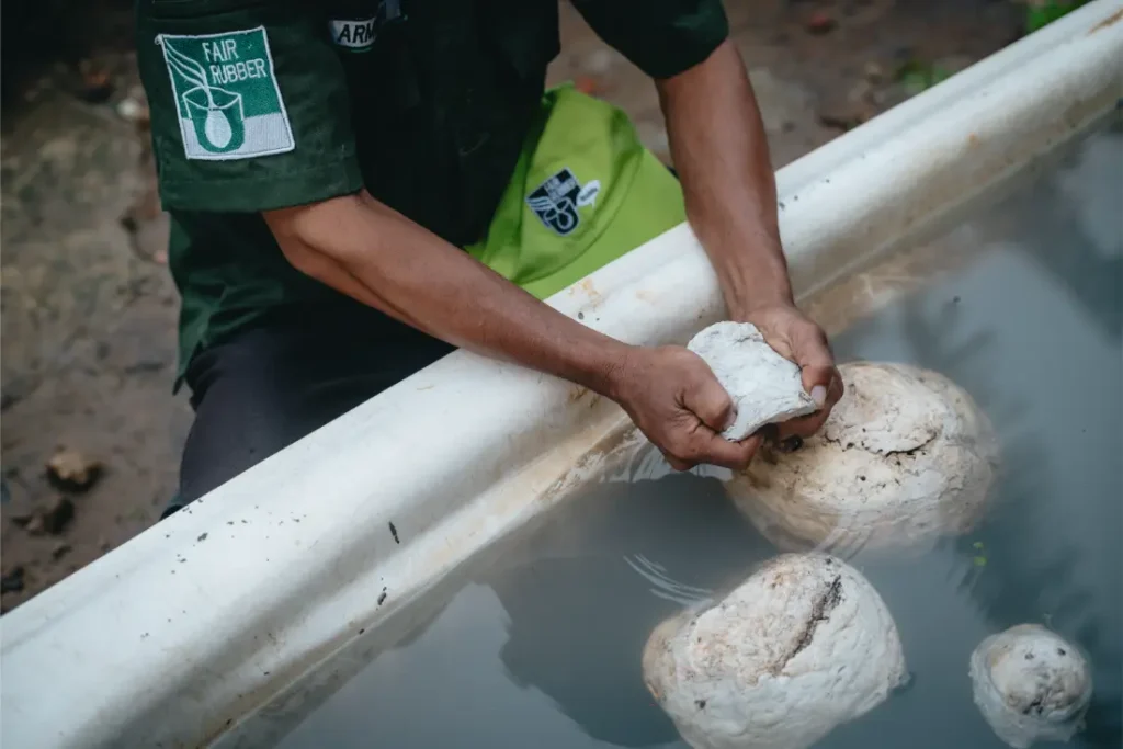 Una persona que lleva una camiseta verde con la etiqueta "Fair Rubber" manipula un trozo de caucho en bruto, esencial para los neumáticos Schwalbe, que flota en un recipiente lleno de agua con otros trozos de caucho.