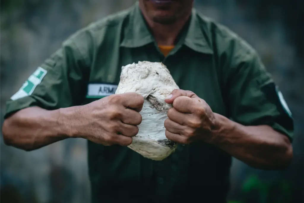 Una persona con uniforme verde sostiene y estira en sus manos un gran trozo de caucho blanco en bruto, mostrando el material esencial utilizado para la fabricación de los neumáticos Schwalbe.