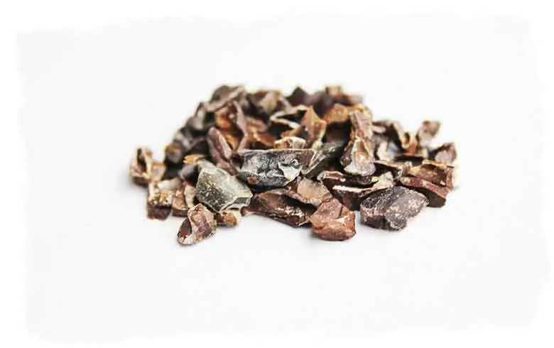A small pile of cacao nibs