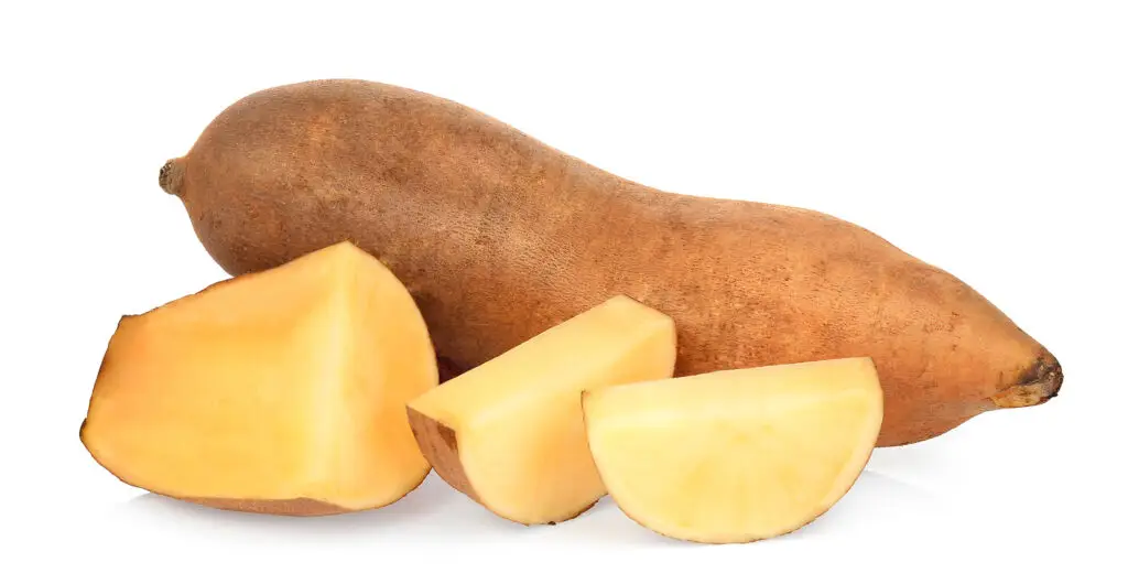 A Yacon tuber